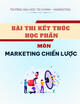 Bài thi kết thúc học phần môn Marketing chiến lược